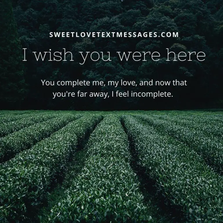 Wish You Were Here Quotes For Him And Her Love Text Messages