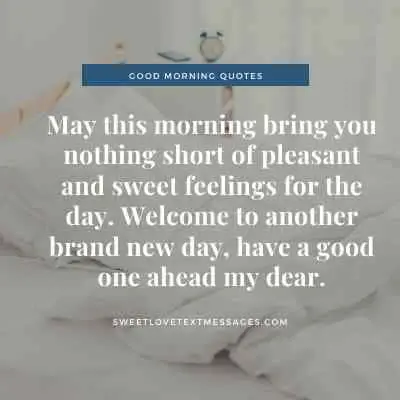 Good Morning Hope You Have a Great Day 