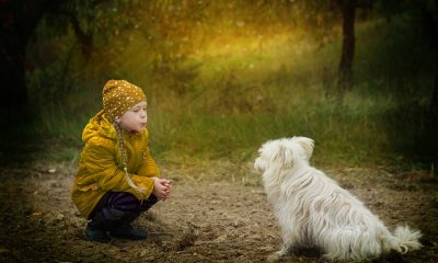 13th Birthday Wishes For Best Friend