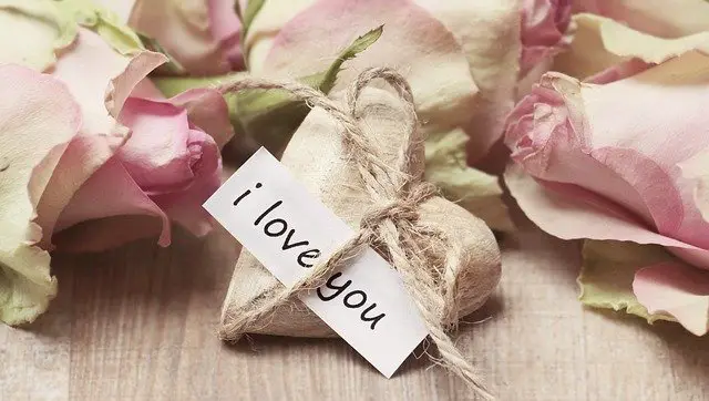 Flowers With Love Messages - Love Text Messages